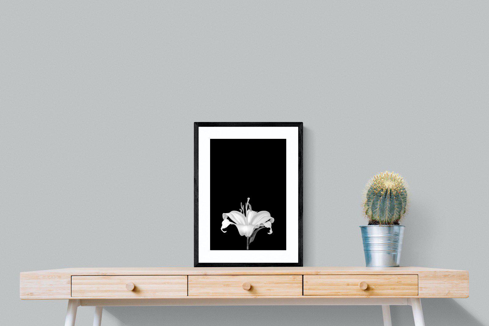 Lily on Black-Wall_Art-45 x 60cm-Framed Print-Black-Pixalot