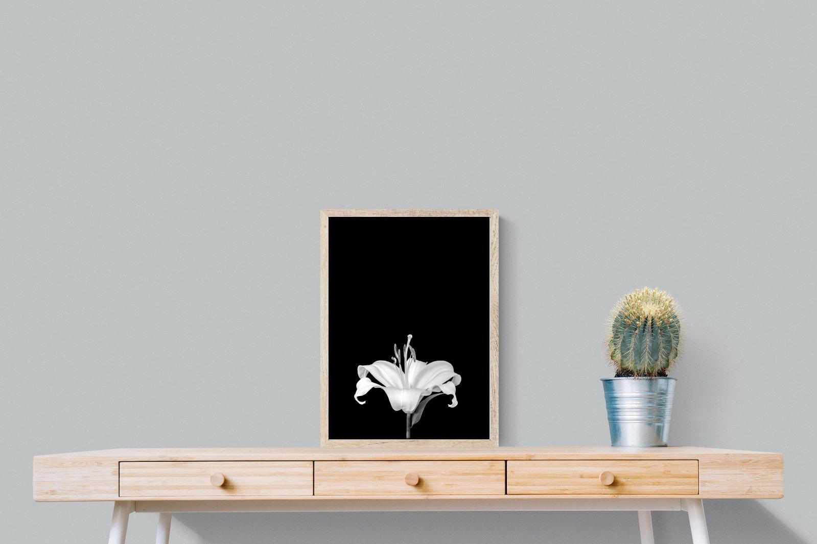 Lily on Black-Wall_Art-45 x 60cm-Mounted Canvas-Wood-Pixalot