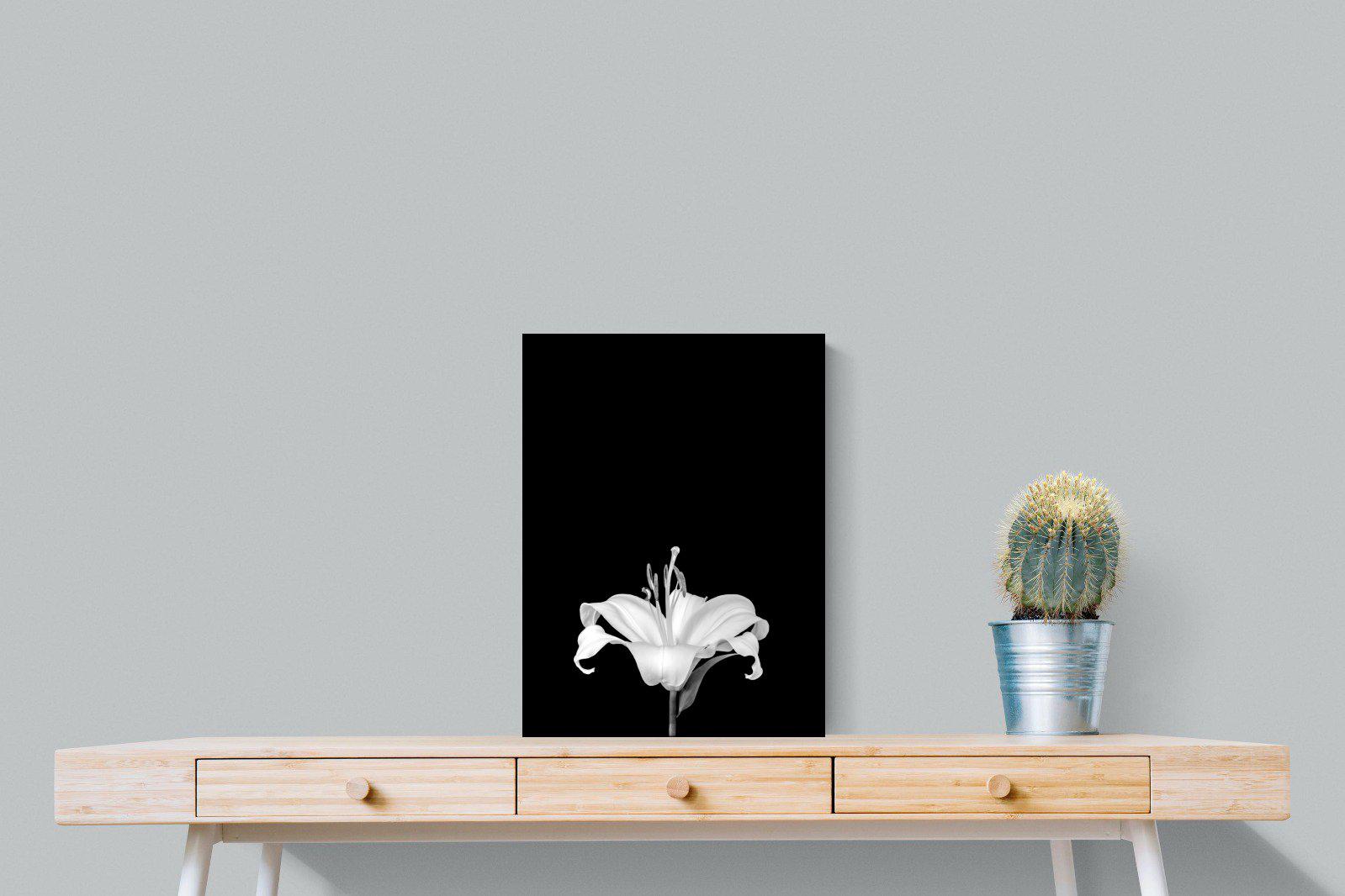 Lily on Black-Wall_Art-45 x 60cm-Mounted Canvas-No Frame-Pixalot