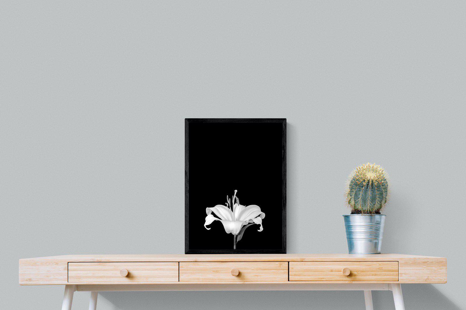 Lily on Black-Wall_Art-45 x 60cm-Mounted Canvas-Black-Pixalot