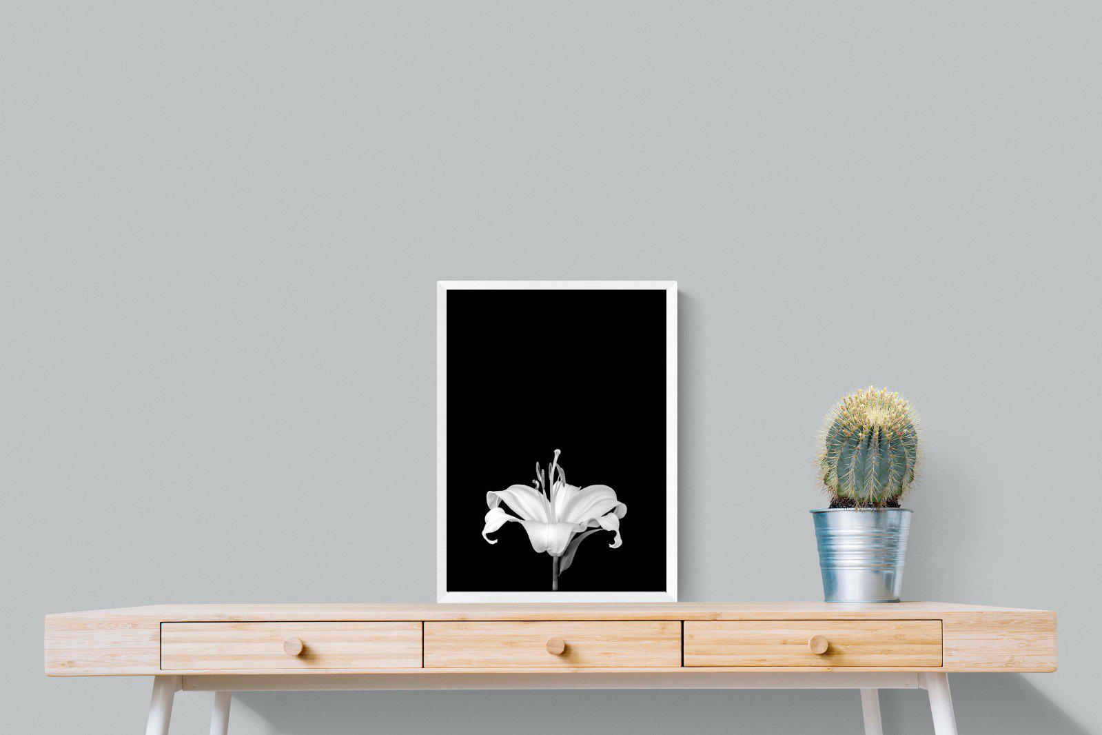 Lily on Black-Wall_Art-45 x 60cm-Mounted Canvas-White-Pixalot