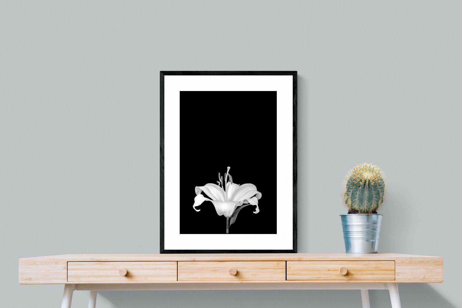 Lily on Black-Wall_Art-60 x 80cm-Framed Print-Black-Pixalot