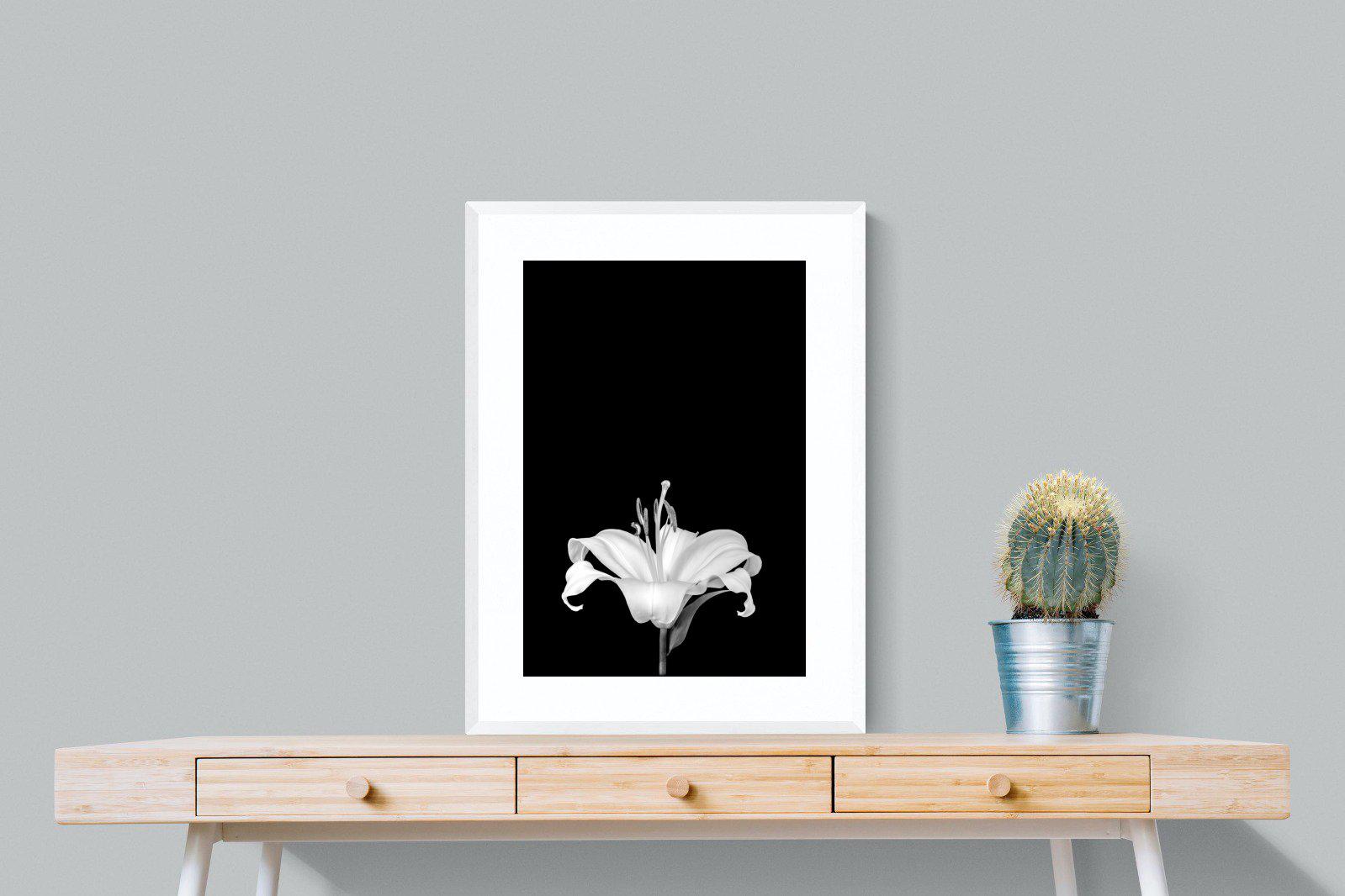 Lily on Black-Wall_Art-60 x 80cm-Framed Print-White-Pixalot
