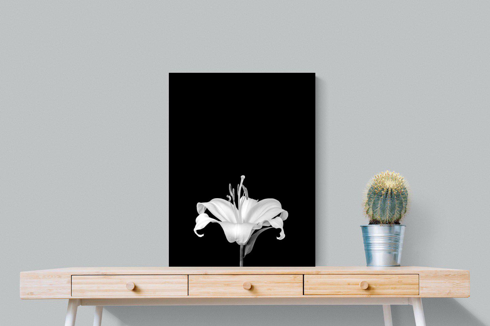 Lily on Black-Wall_Art-60 x 80cm-Mounted Canvas-No Frame-Pixalot