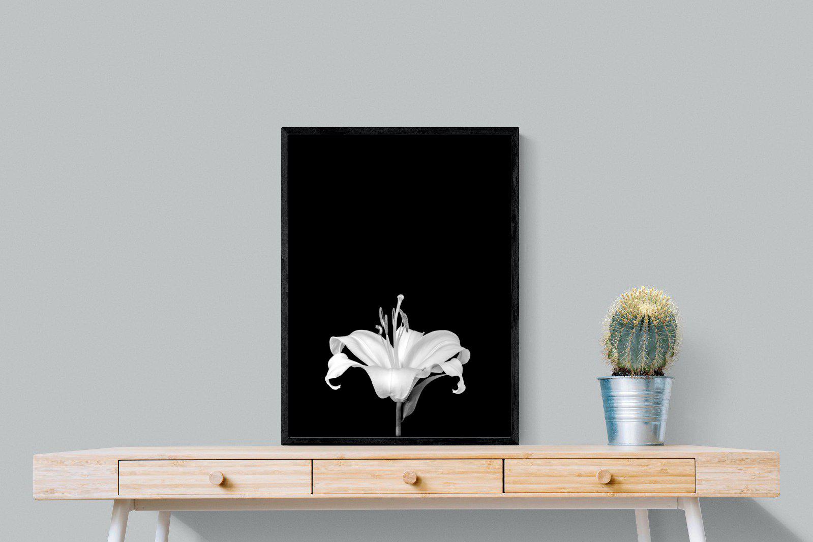 Lily on Black-Wall_Art-60 x 80cm-Mounted Canvas-Black-Pixalot