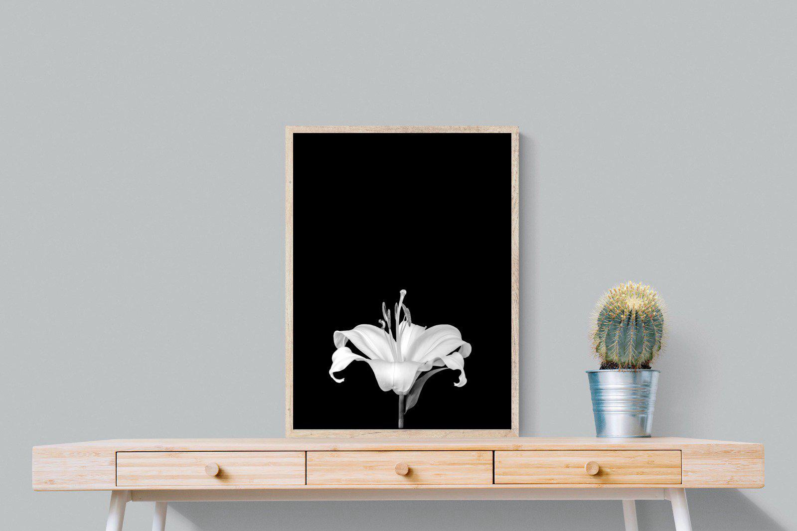 Lily on Black-Wall_Art-60 x 80cm-Mounted Canvas-Wood-Pixalot