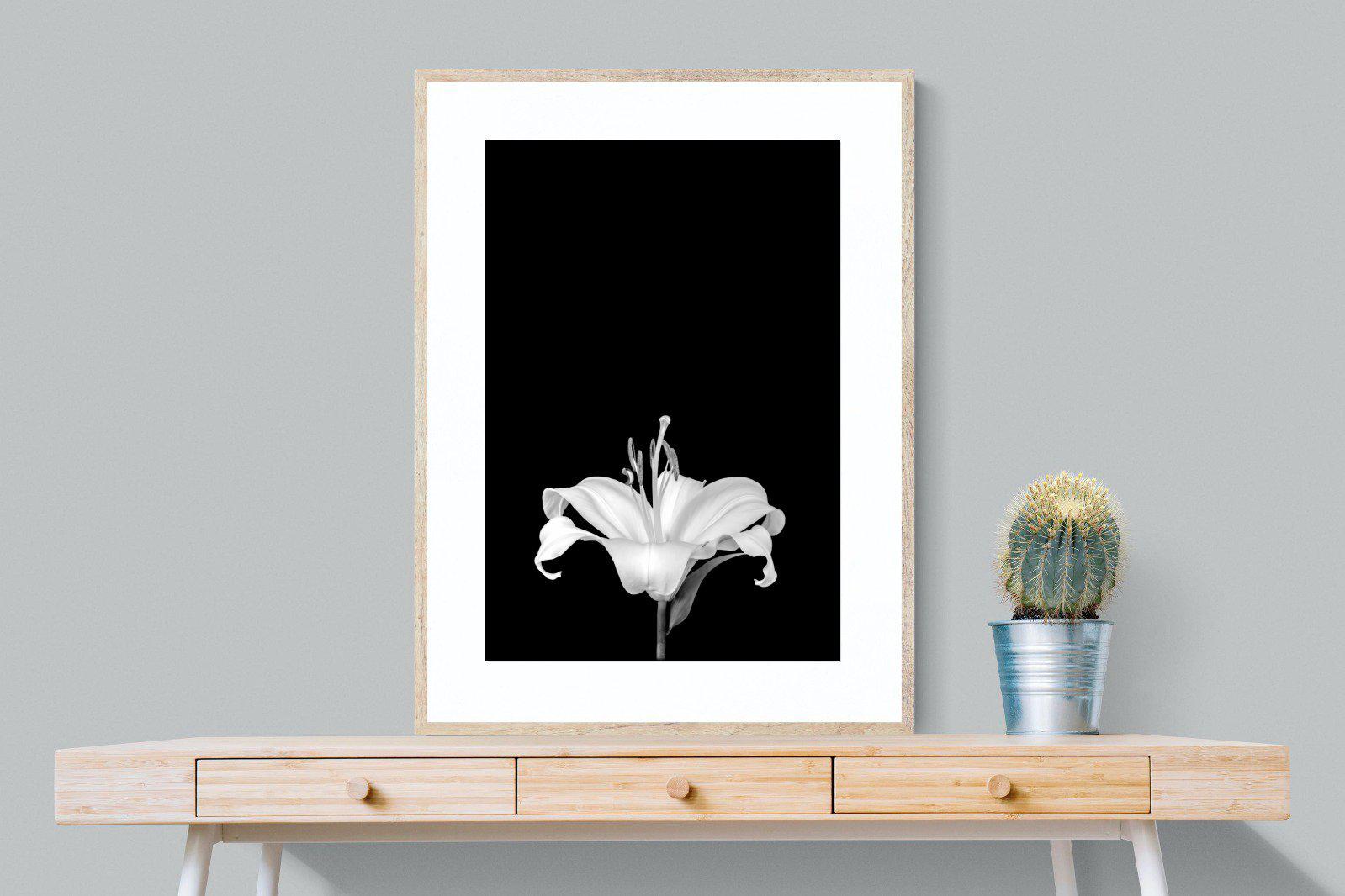 Lily on Black-Wall_Art-75 x 100cm-Framed Print-Wood-Pixalot