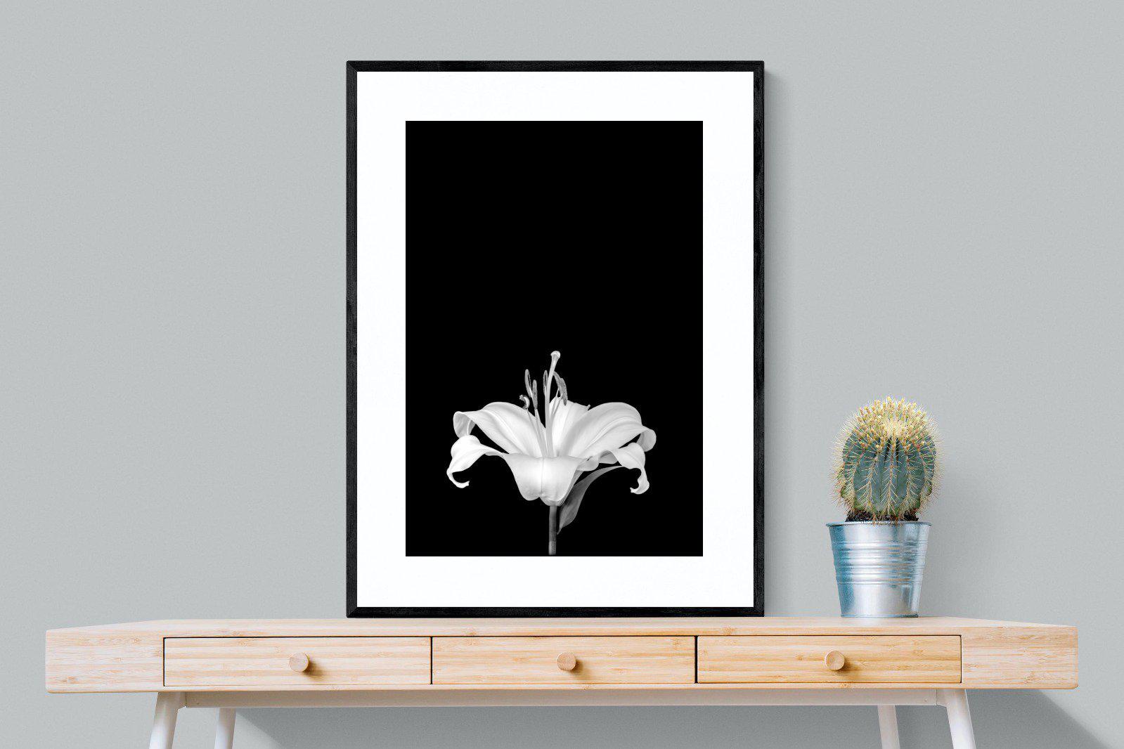 Lily on Black-Wall_Art-75 x 100cm-Framed Print-Black-Pixalot