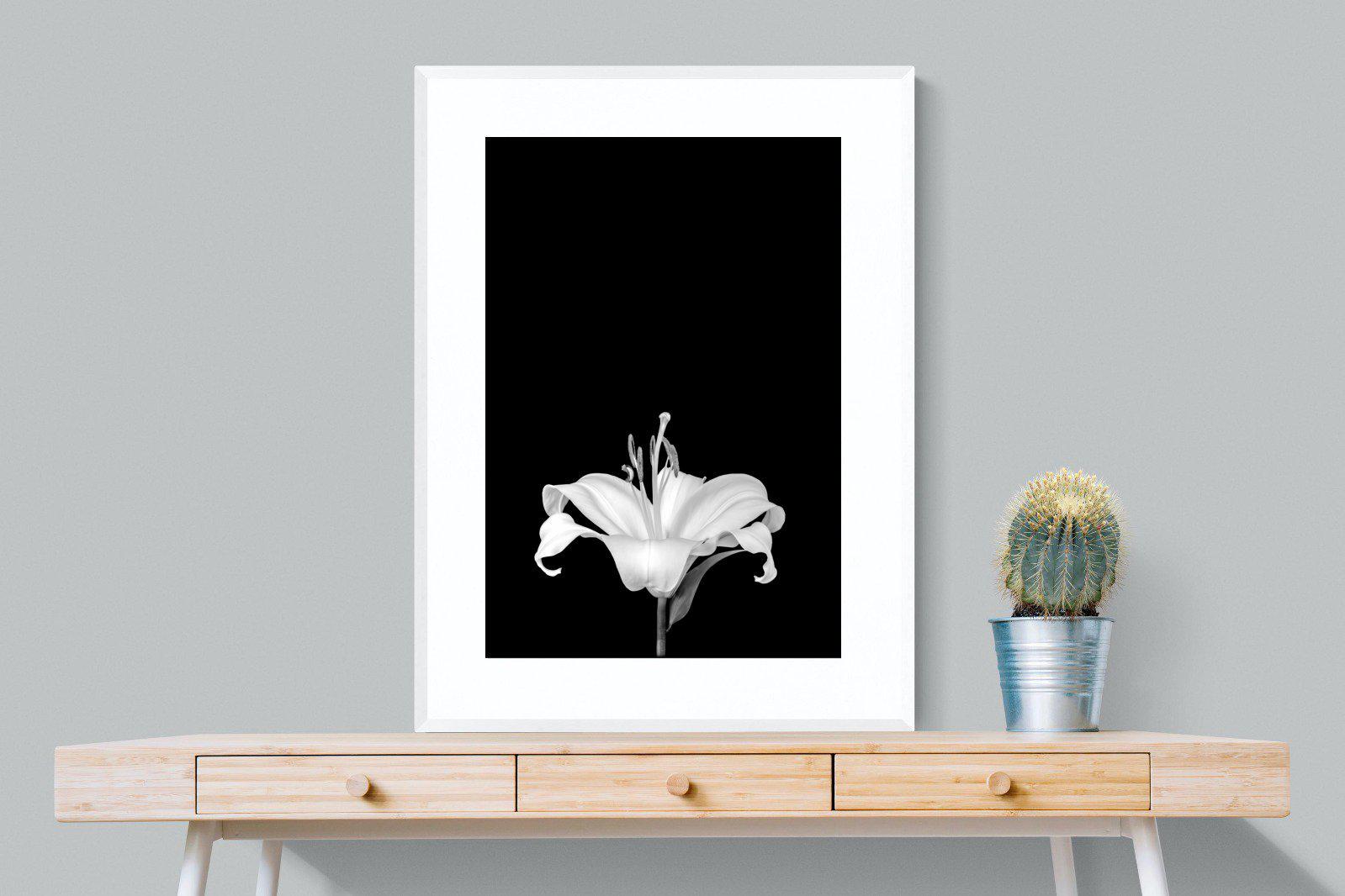 Lily on Black-Wall_Art-75 x 100cm-Framed Print-White-Pixalot