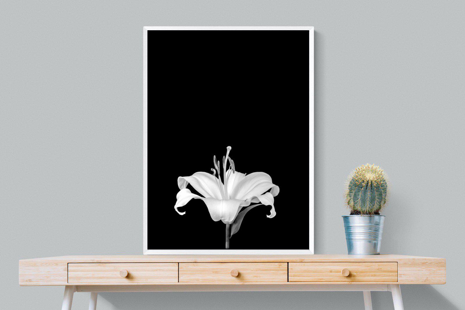 Lily on Black-Wall_Art-75 x 100cm-Mounted Canvas-White-Pixalot