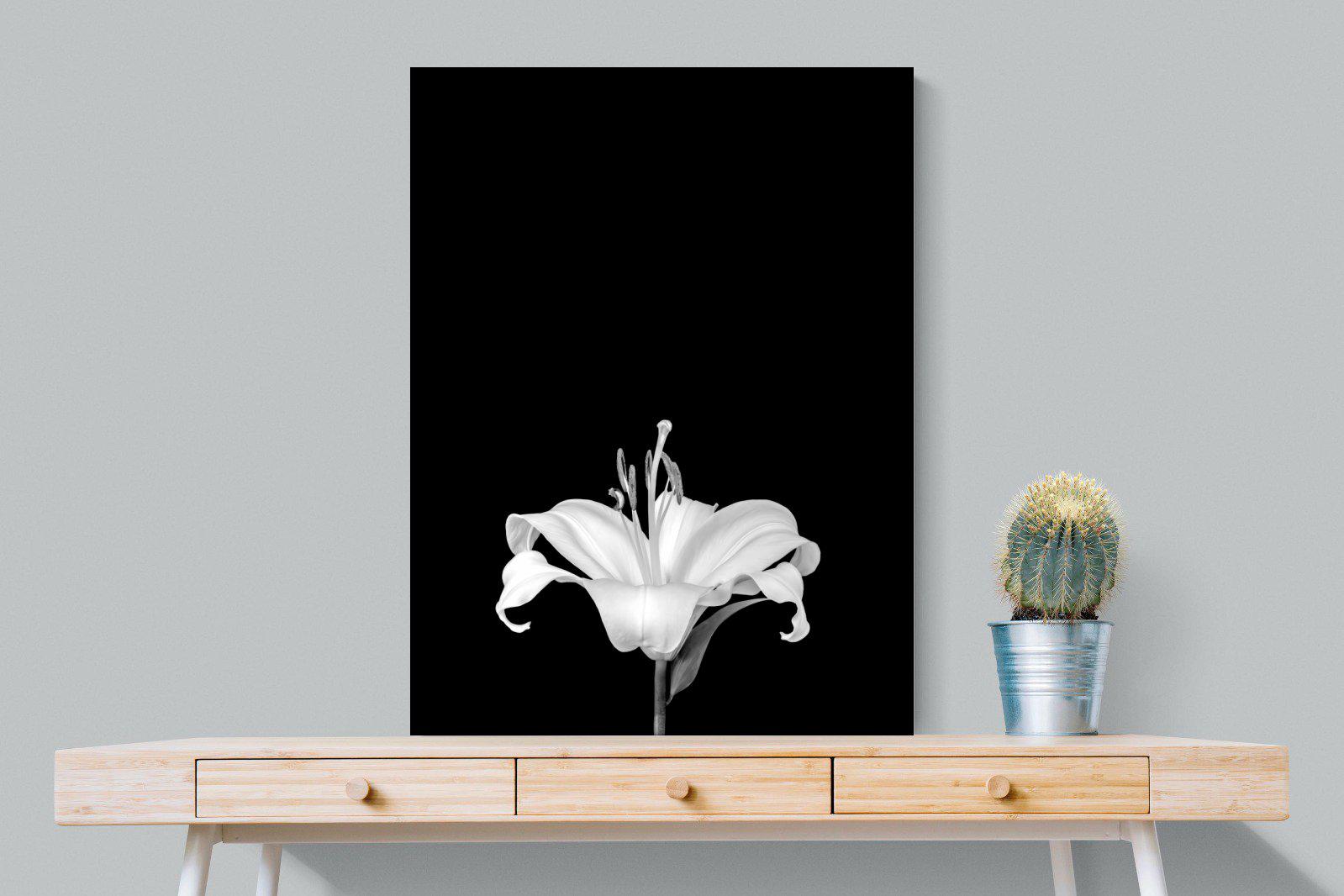 Lily on Black-Wall_Art-75 x 100cm-Mounted Canvas-No Frame-Pixalot