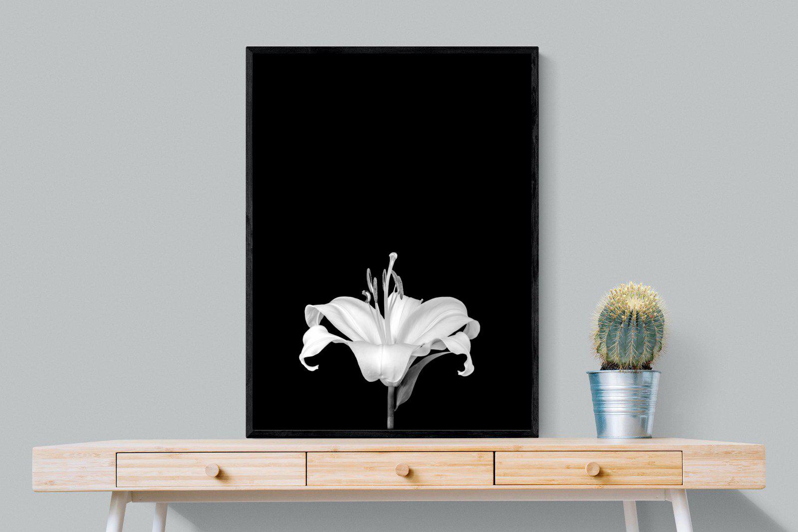 Lily on Black-Wall_Art-75 x 100cm-Mounted Canvas-Black-Pixalot