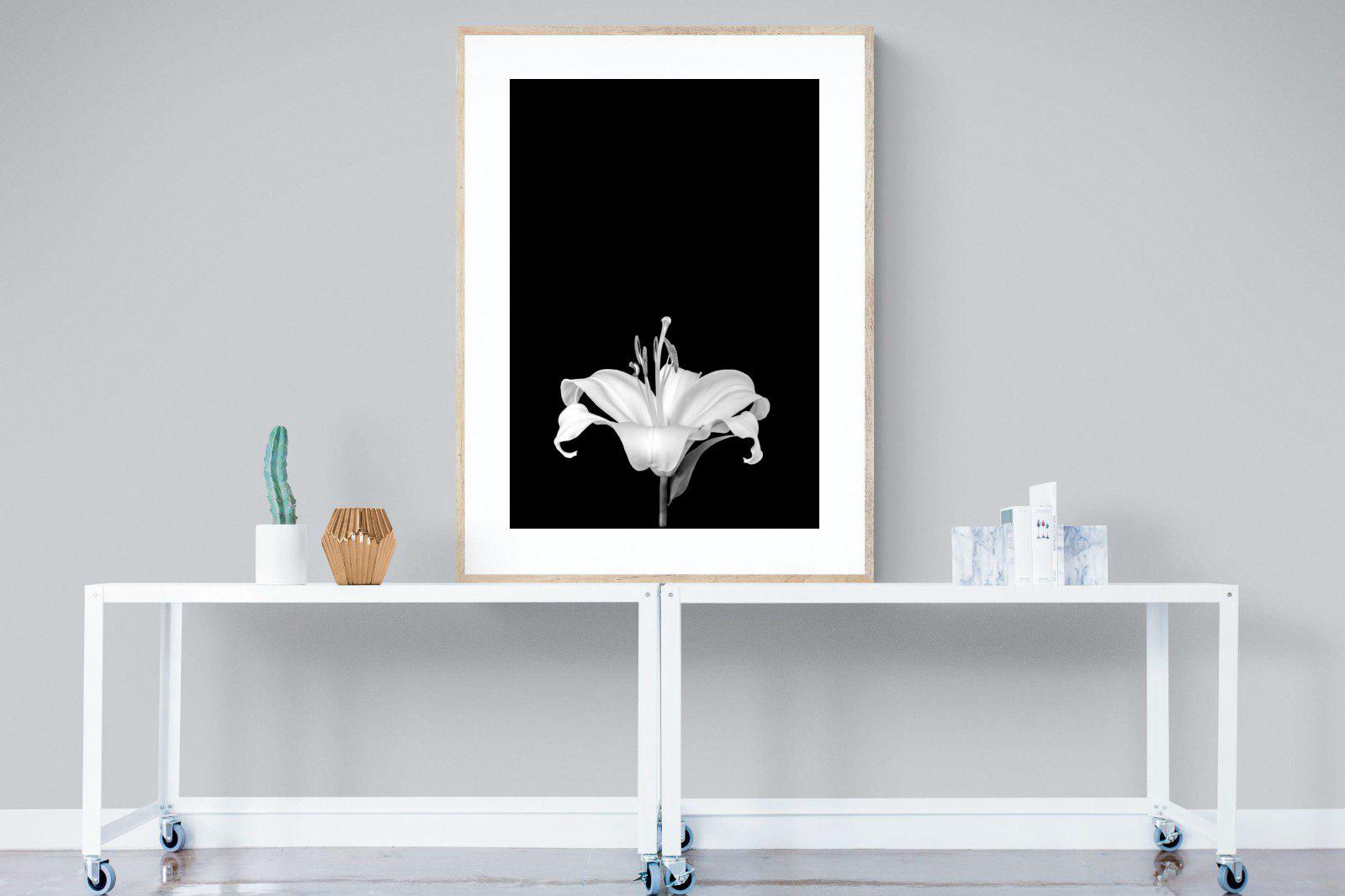 Lily on Black-Wall_Art-90 x 120cm-Framed Print-Wood-Pixalot