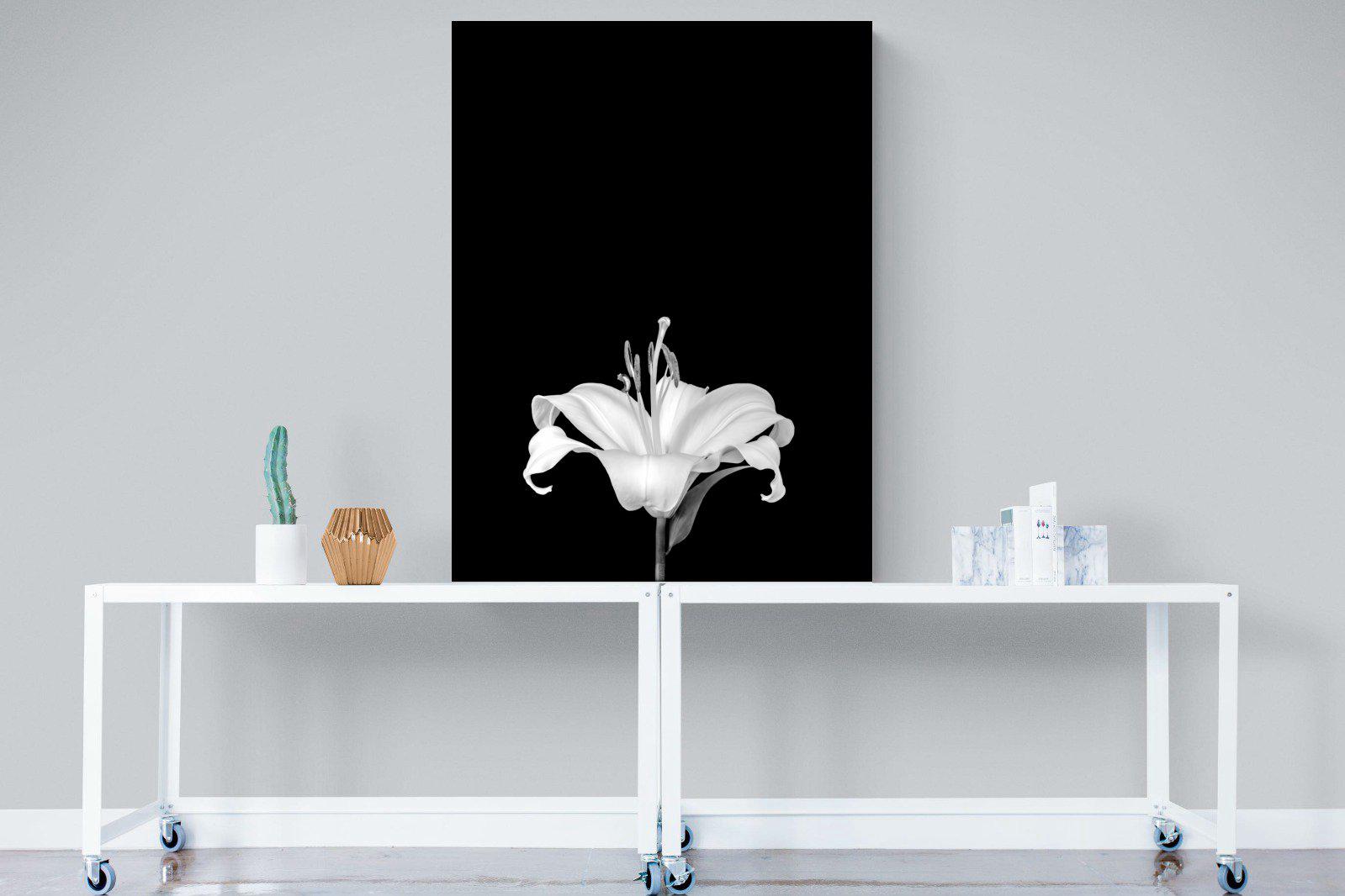 Lily on Black-Wall_Art-90 x 120cm-Mounted Canvas-No Frame-Pixalot