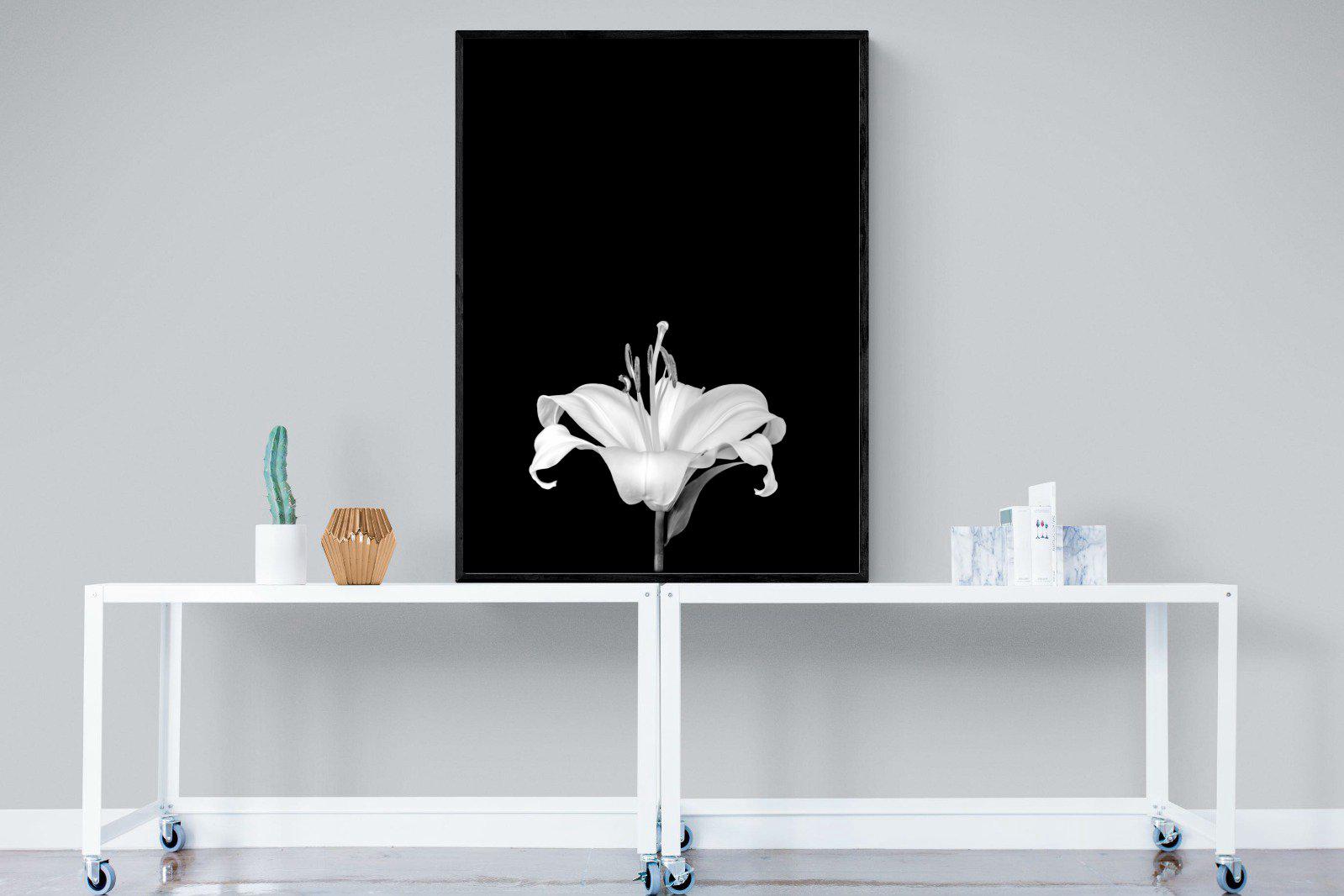 Lily on Black-Wall_Art-90 x 120cm-Mounted Canvas-Black-Pixalot