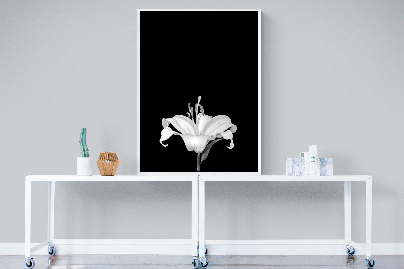 Lily on Black-Wall_Art-90 x 120cm-Mounted Canvas-White-Pixalot