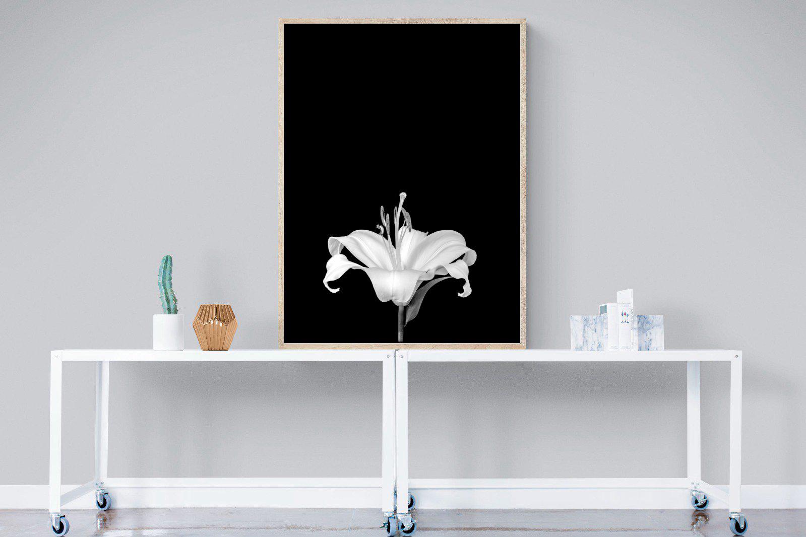 Lily on Black-Wall_Art-90 x 120cm-Mounted Canvas-Wood-Pixalot