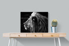 Lion King-Wall_Art-80 x 60cm-Mounted Canvas-No Frame-Pixalot