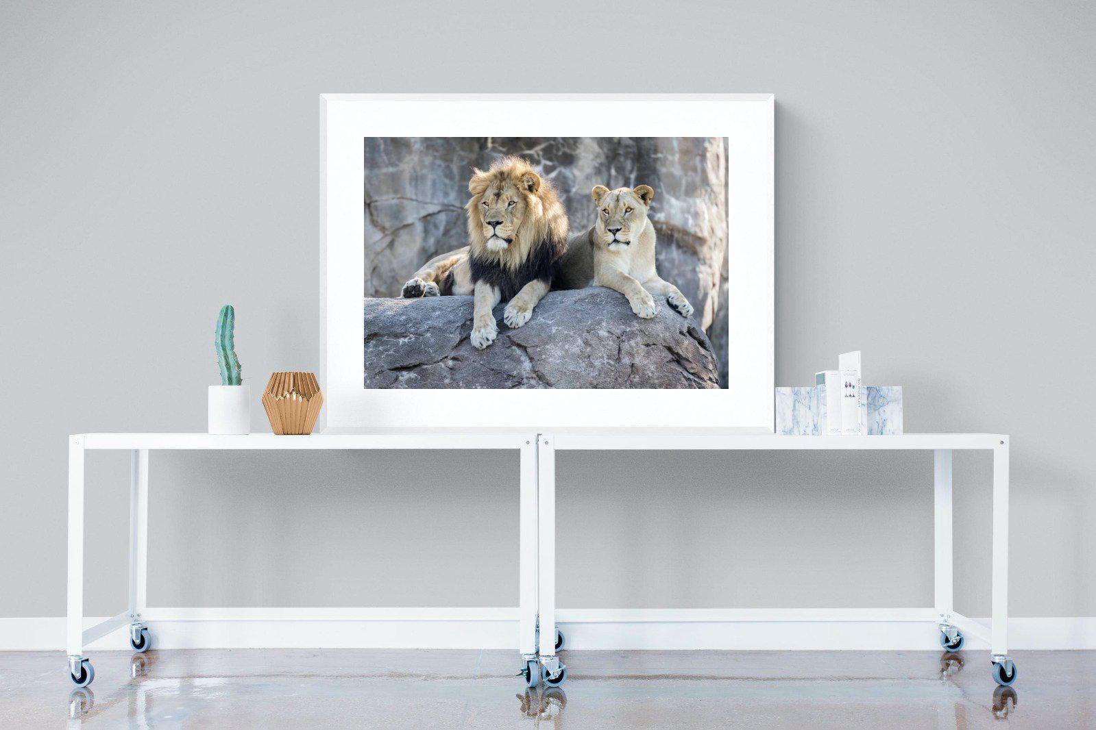 Lion & Lioness-Wall_Art-120 x 90cm-Framed Print-White-Pixalot