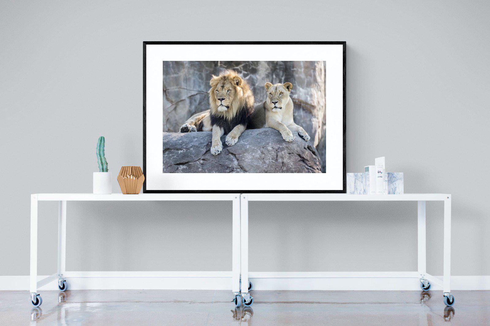 Lion & Lioness-Wall_Art-120 x 90cm-Framed Print-Black-Pixalot