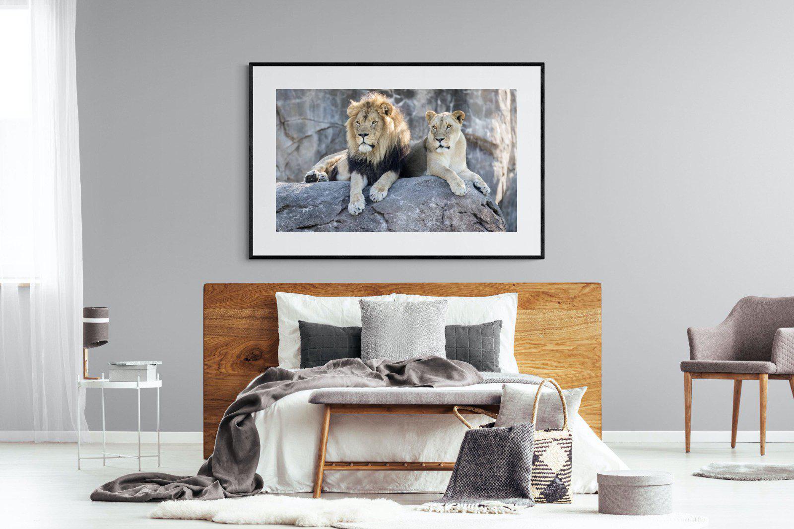 Lion & Lioness-Wall_Art-150 x 100cm-Framed Print-Black-Pixalot