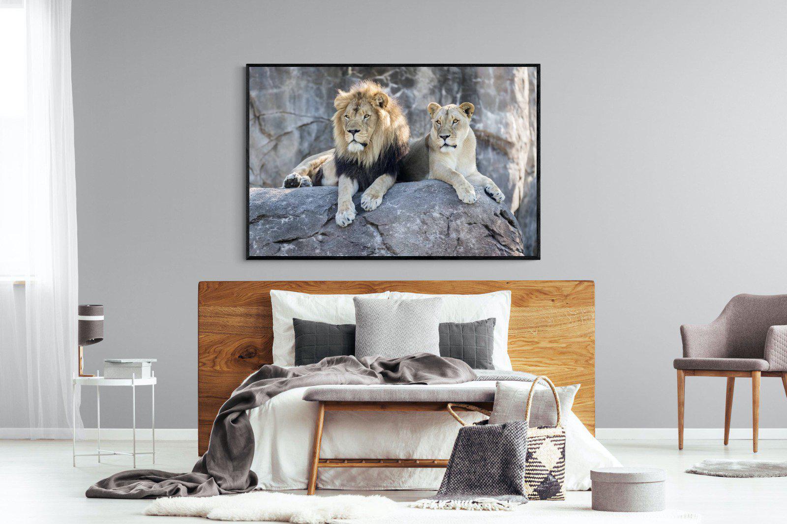 Lion & Lioness-Wall_Art-150 x 100cm-Mounted Canvas-Black-Pixalot