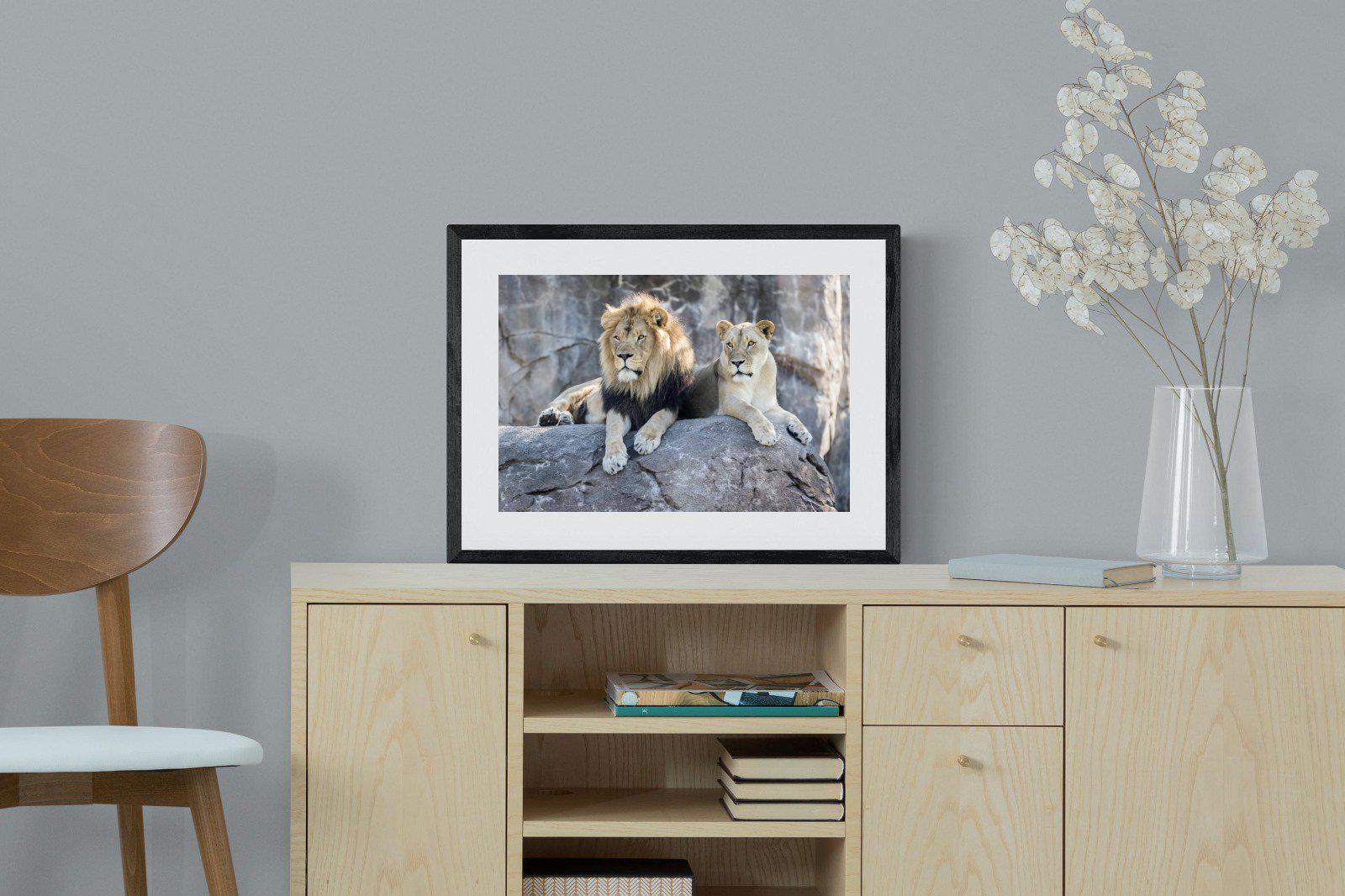 Lion & Lioness-Wall_Art-60 x 45cm-Framed Print-Black-Pixalot