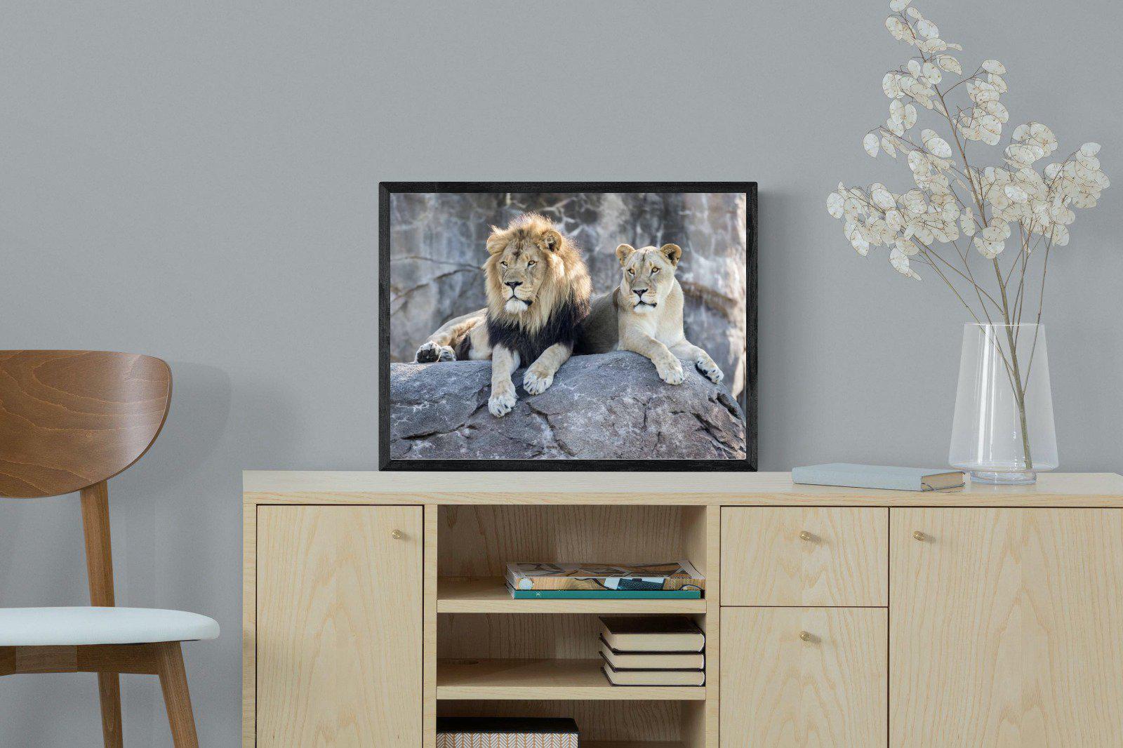 Lion & Lioness-Wall_Art-60 x 45cm-Mounted Canvas-Black-Pixalot