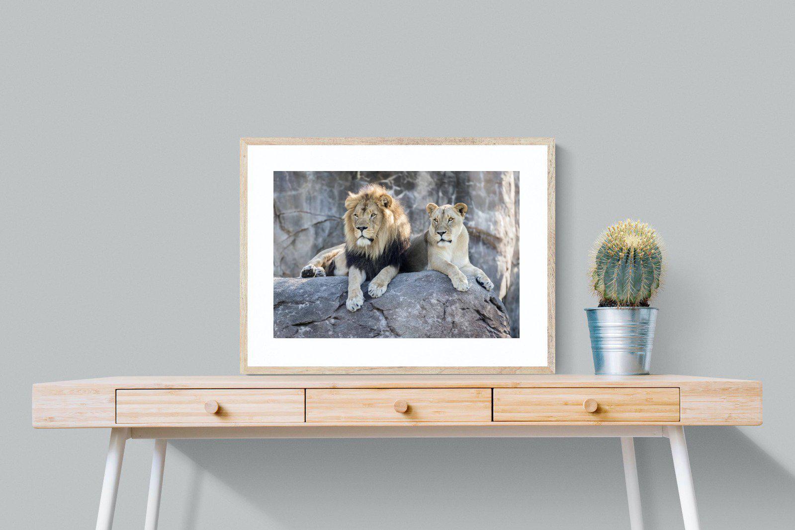 Lion & Lioness-Wall_Art-80 x 60cm-Framed Print-Wood-Pixalot