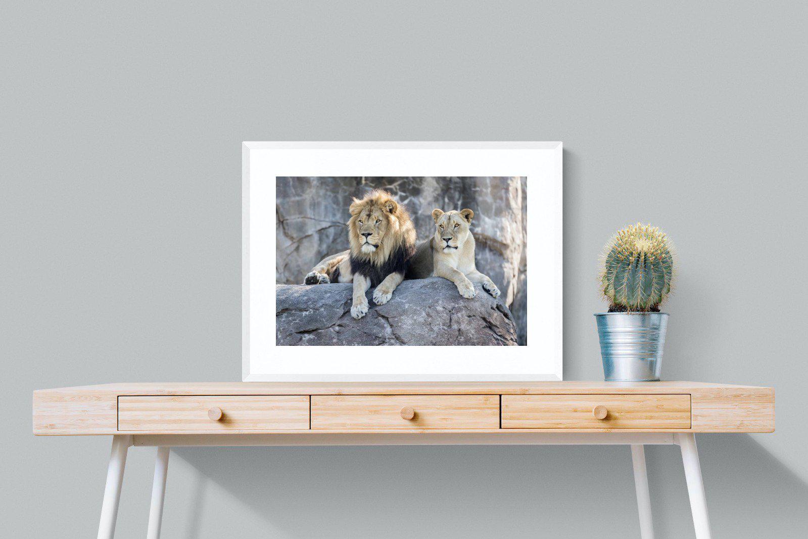 Lion & Lioness-Wall_Art-80 x 60cm-Framed Print-White-Pixalot