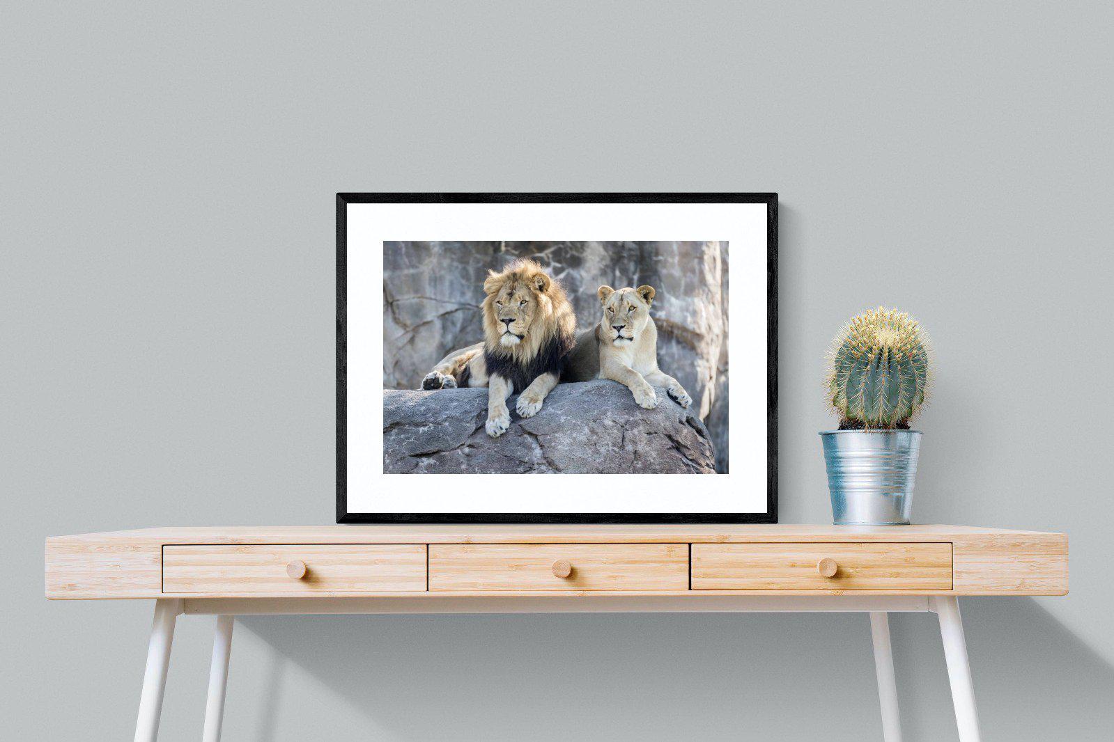 Lion & Lioness-Wall_Art-80 x 60cm-Framed Print-Black-Pixalot