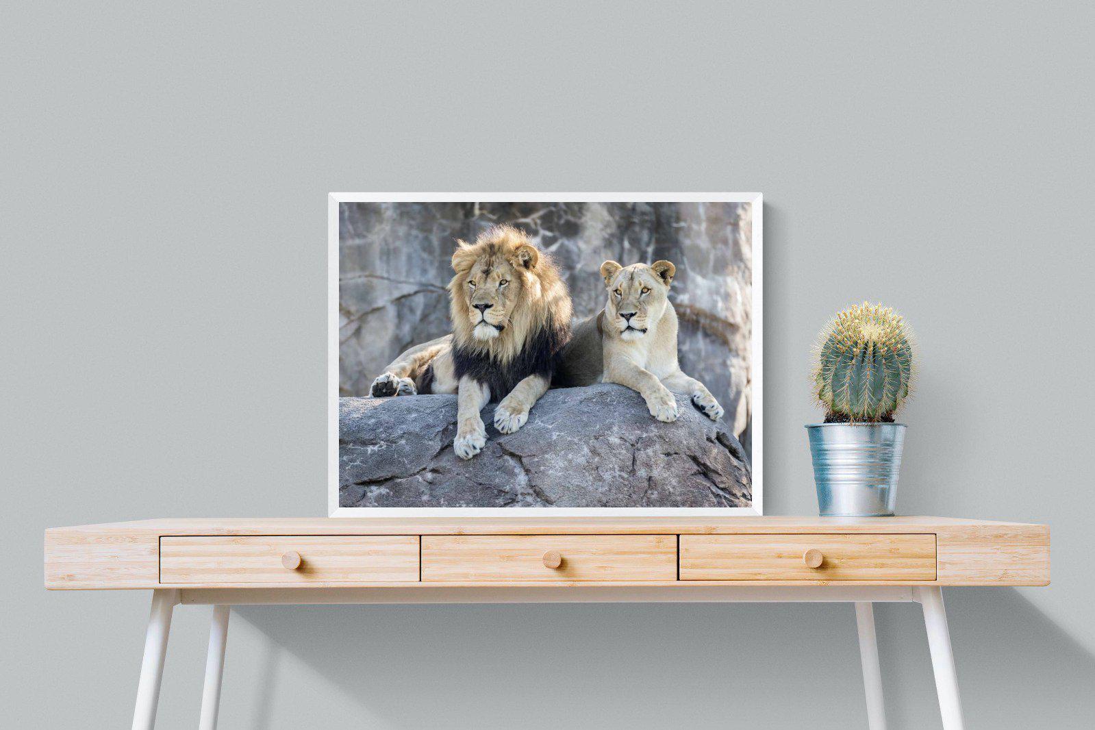 Lion & Lioness-Wall_Art-80 x 60cm-Mounted Canvas-White-Pixalot