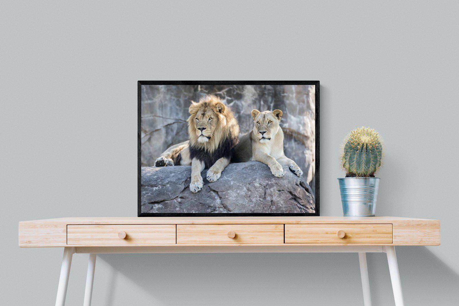 Lion & Lioness-Wall_Art-80 x 60cm-Mounted Canvas-Black-Pixalot