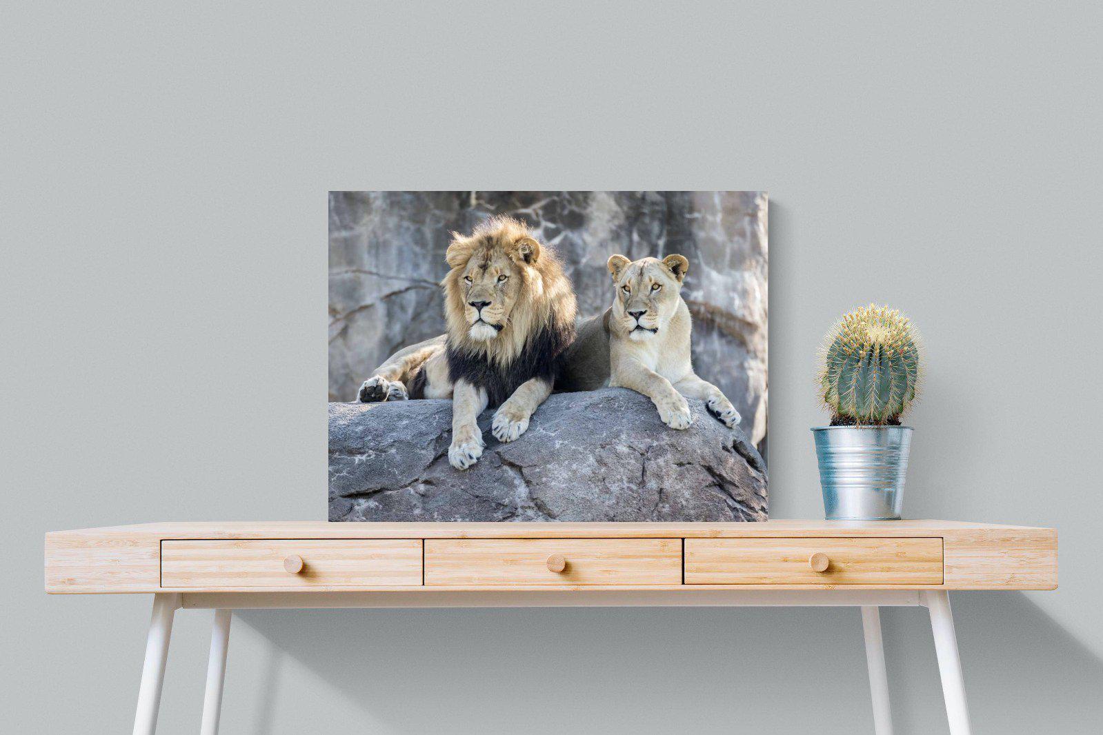 Lion & Lioness-Wall_Art-80 x 60cm-Mounted Canvas-No Frame-Pixalot