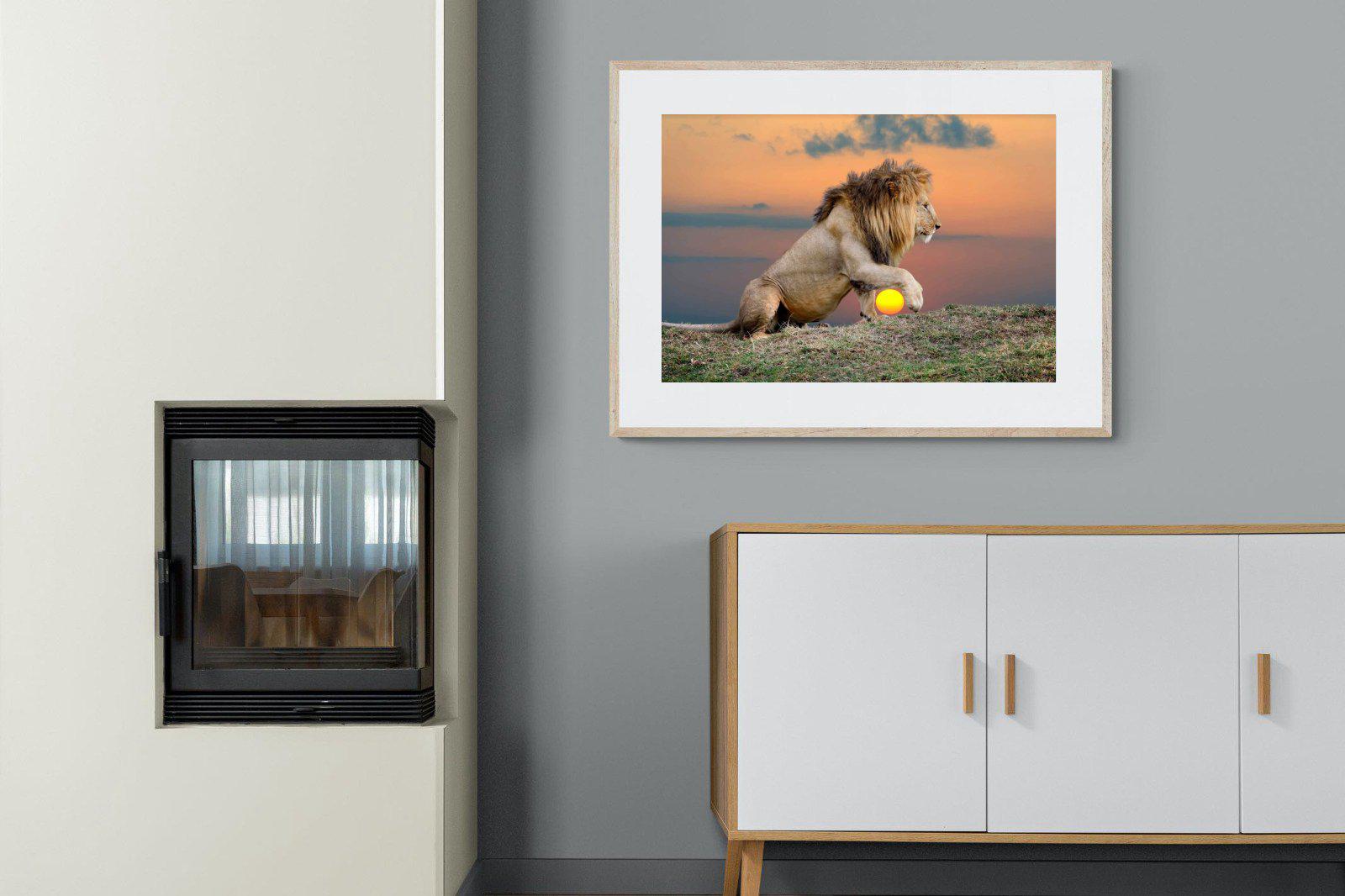 Lion Sunset-Wall_Art-100 x 75cm-Framed Print-Wood-Pixalot