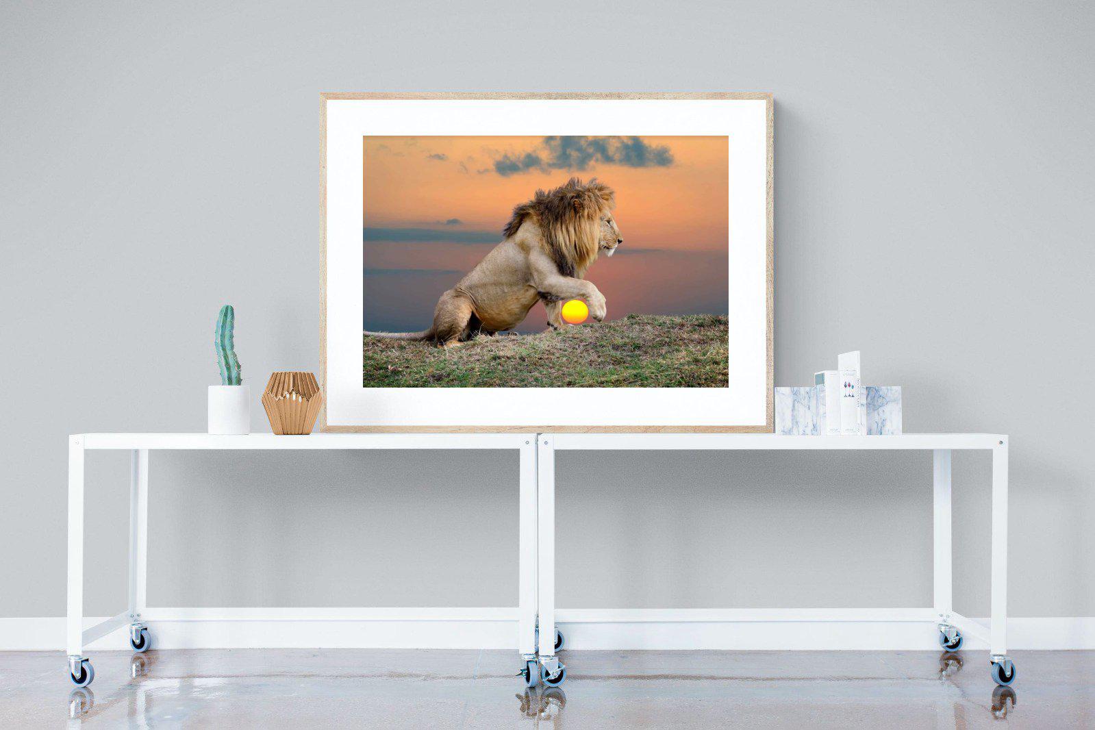 Lion Sunset-Wall_Art-120 x 90cm-Framed Print-Wood-Pixalot