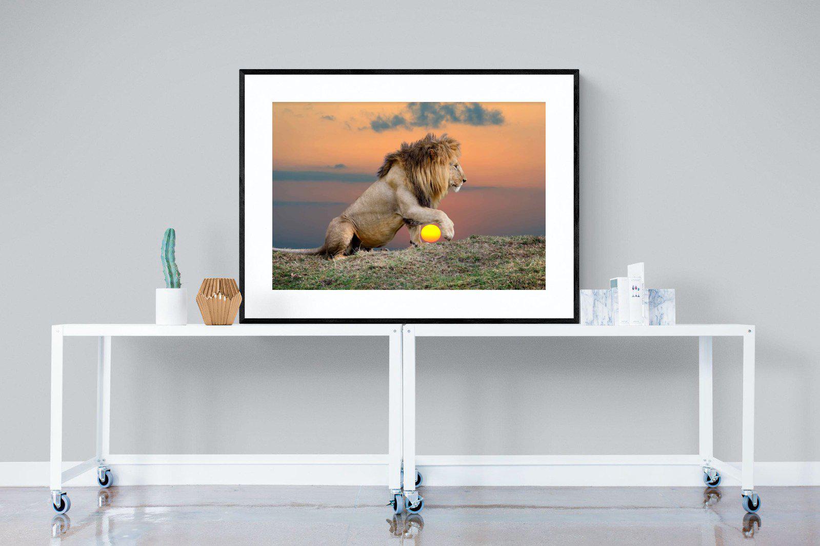 Lion Sunset-Wall_Art-120 x 90cm-Framed Print-Black-Pixalot