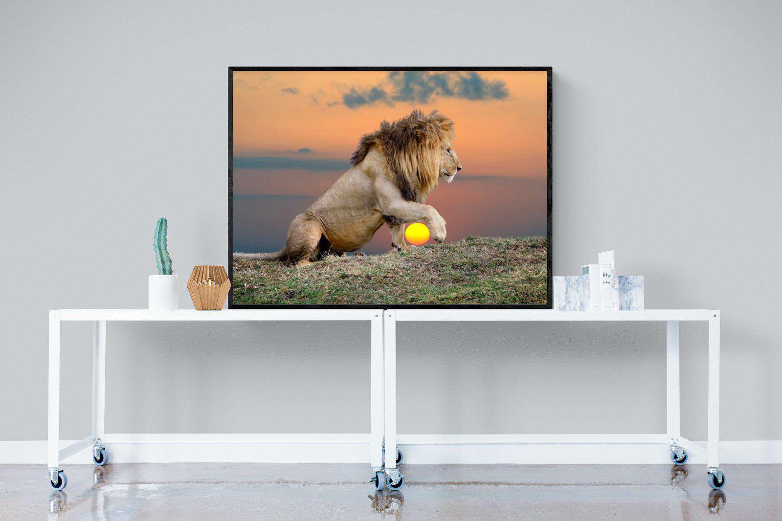 Lion Sunset-Wall_Art-120 x 90cm-Mounted Canvas-Black-Pixalot