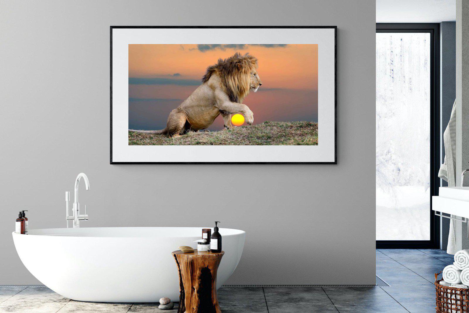 Lion Sunset-Wall_Art-180 x 110cm-Framed Print-Black-Pixalot