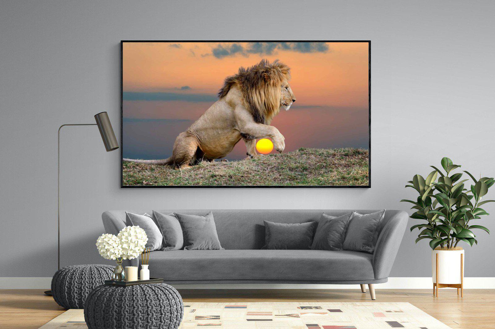 Lion Sunset-Wall_Art-220 x 130cm-Mounted Canvas-Black-Pixalot