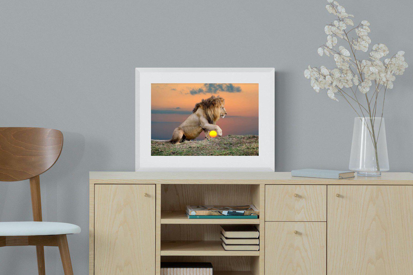 Lion Sunset-Wall_Art-60 x 45cm-Framed Print-White-Pixalot