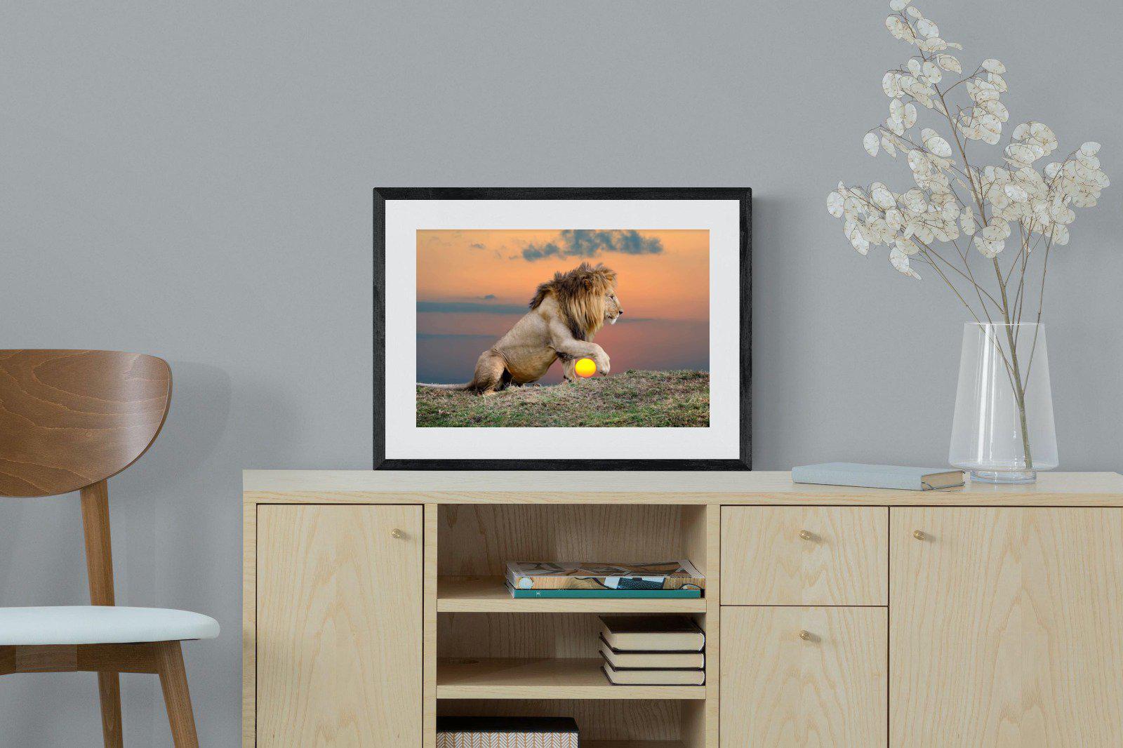 Lion Sunset-Wall_Art-60 x 45cm-Framed Print-Black-Pixalot