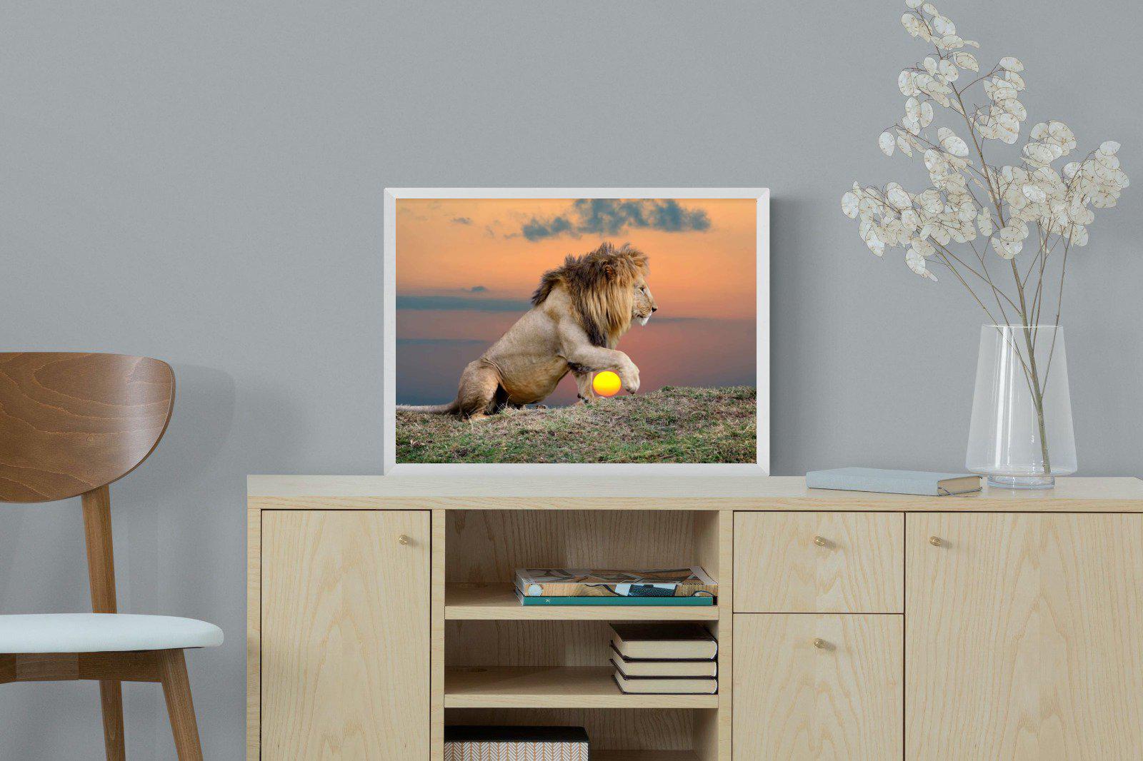 Lion Sunset-Wall_Art-60 x 45cm-Mounted Canvas-White-Pixalot