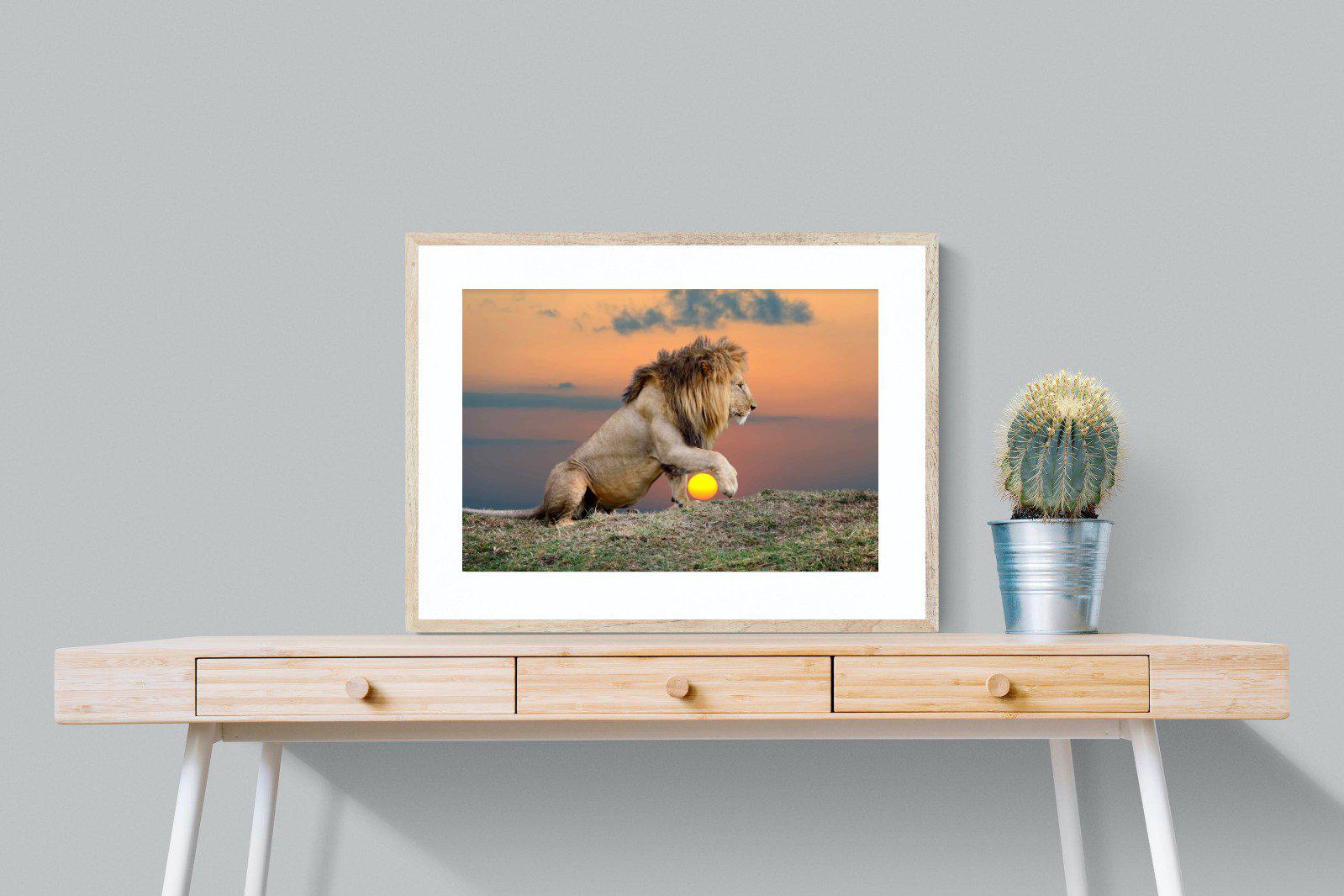 Lion Sunset-Wall_Art-80 x 60cm-Framed Print-Wood-Pixalot