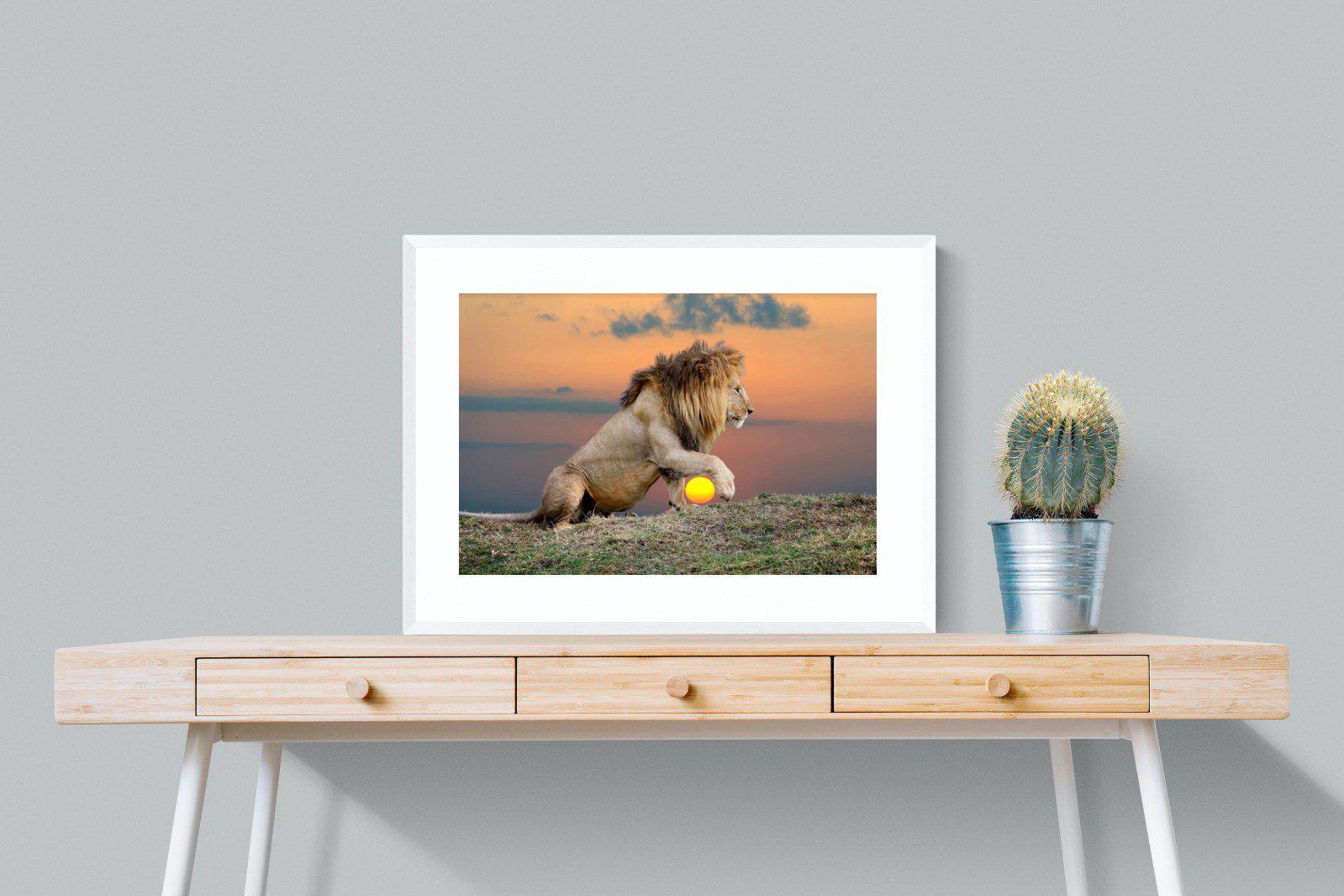 Lion Sunset-Wall_Art-80 x 60cm-Framed Print-White-Pixalot