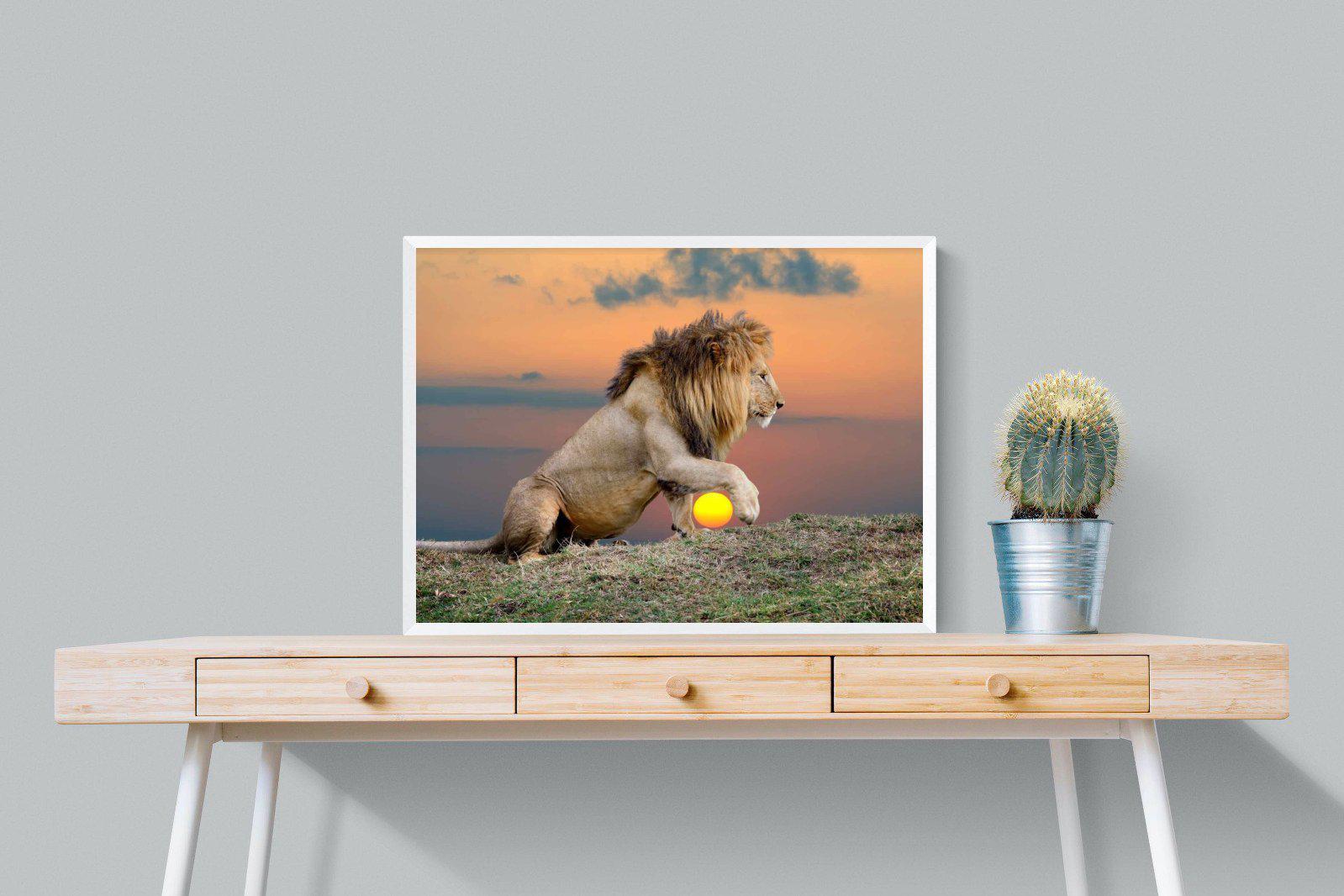 Lion Sunset-Wall_Art-80 x 60cm-Mounted Canvas-White-Pixalot