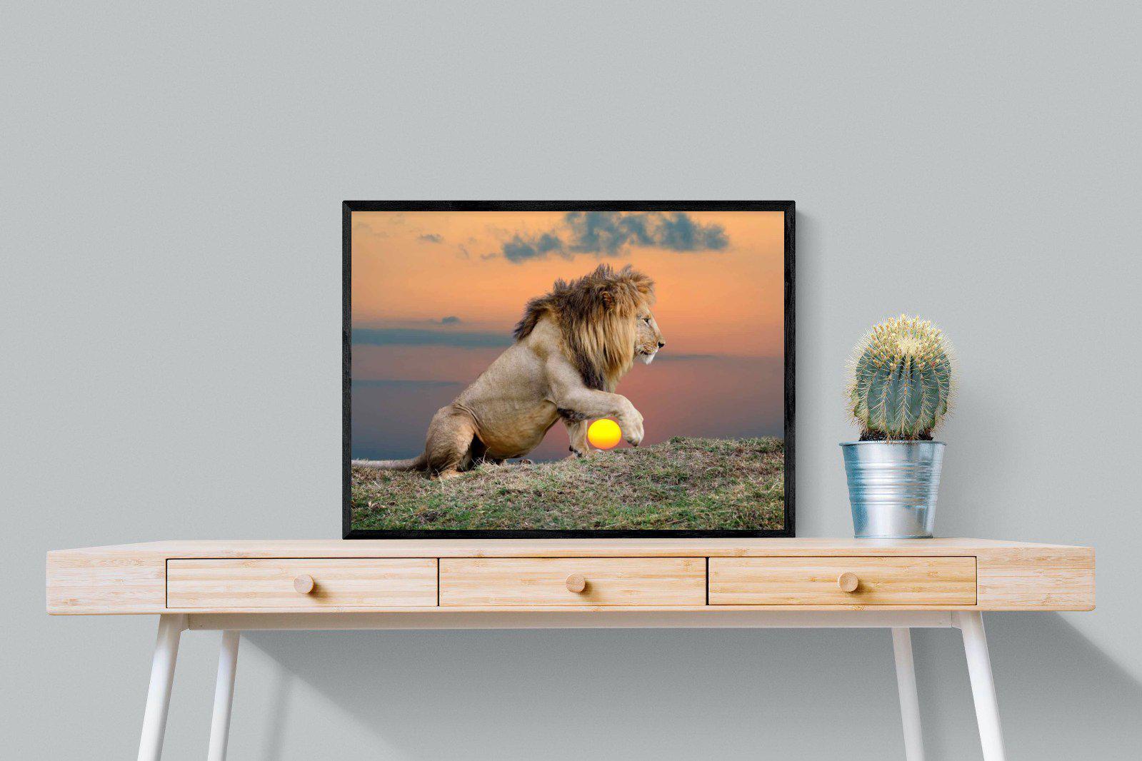 Lion Sunset-Wall_Art-80 x 60cm-Mounted Canvas-Black-Pixalot