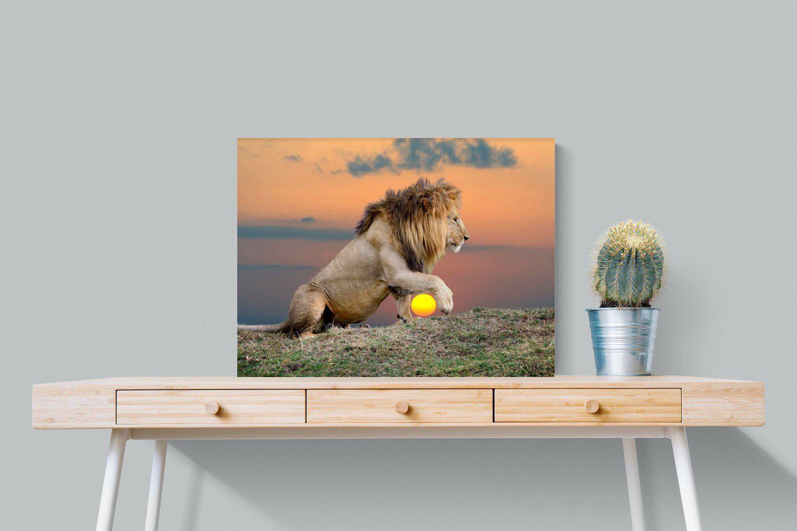 Lion Sunset-Wall_Art-80 x 60cm-Mounted Canvas-No Frame-Pixalot