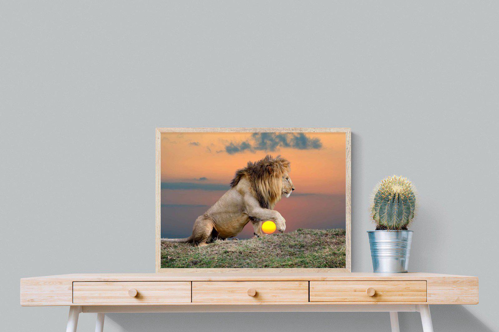 Lion Sunset-Wall_Art-80 x 60cm-Mounted Canvas-Wood-Pixalot