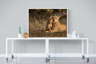 Lioness & Cub-Wall_Art-120 x 90cm-Mounted Canvas-White-Pixalot